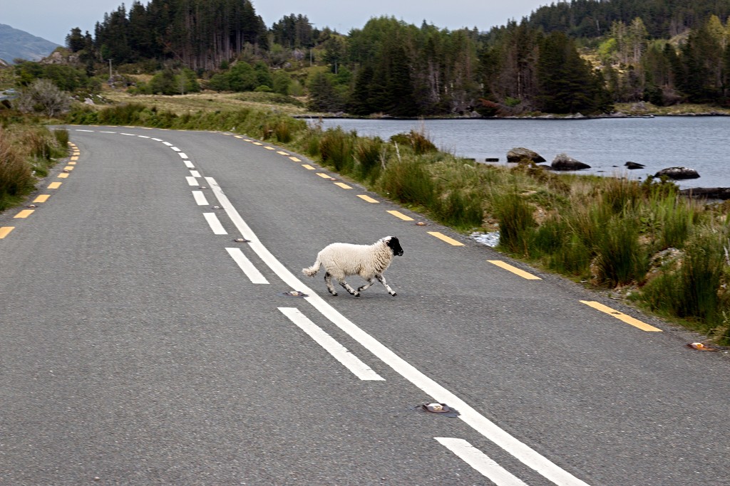Killarney National Park ierland eire natuur natuurgebied hdr Ladies View Ring of Kerry County irish Lough Leane lake